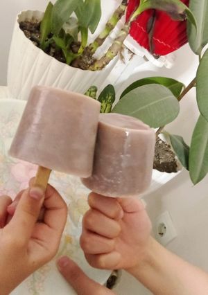 عکسی از دستور بستنی شکلاتی بدون ثعلب