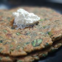 A picture of Lauki Palak Paratha (bottelgourd).