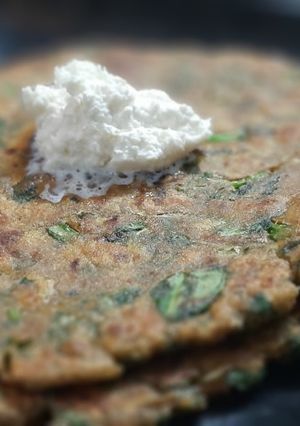 A picture of Lauki Palak Paratha (bottelgourd).