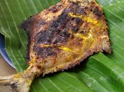 Gambar ikan bawal bumbu kuning