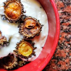 A picture of Karele ka Raita.