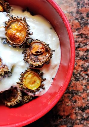 A picture of Karele ka Raita.