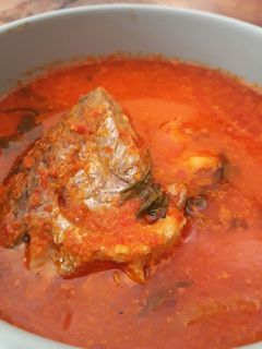 Foto resep Tongkol masak woku