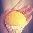 Bolu kukus jeruk manis no mixer