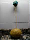 CakePop