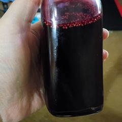A picture of Sugar Free Mulberry Syrup.