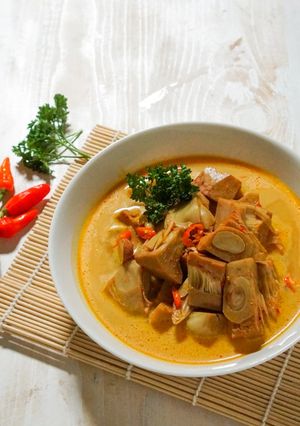Foto resep Lodeh Nangka Muda/Jangan Tewel
