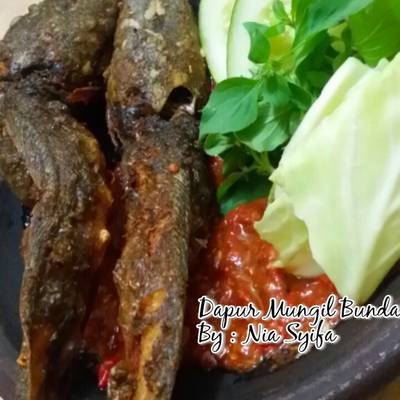 Resep Ikan Lele Sambal Lalapan Oleh Nia Syifa Cookpad