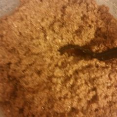 A picture of Sloppy joe's.