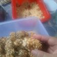 Biji kurma (kue kering karamel kacang)