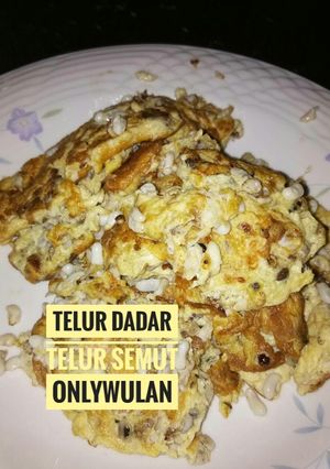 Foto resep Telur Dadar Telur Semut