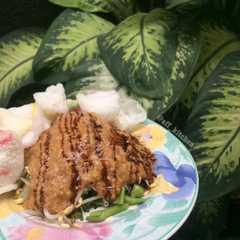 A picture of Pecel uleg.