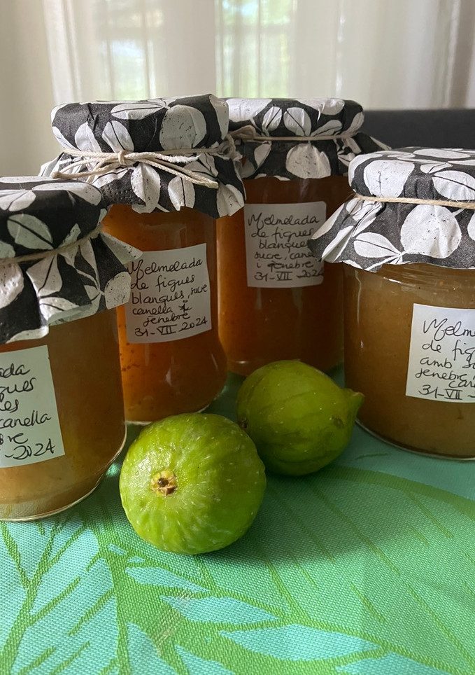 Una foto de Mermelada de higos blancos de la casita, en Thermomix