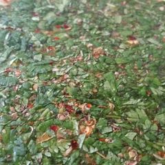 A picture of Spicy Cilantro Brine.