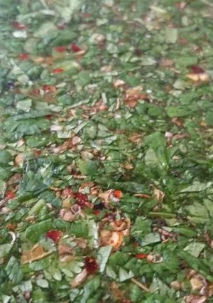 A picture of Spicy Cilantro Brine.