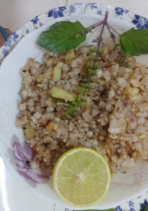 भगर साबूदाणा मिक्स खिचडी (bhagar sabudana mix khichdi recipe in marathi) रेसिपी चे मुख्य फोटो 