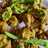 Palak pakoda