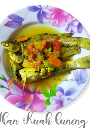 Foto resep IKAN KUAH KUNING seger