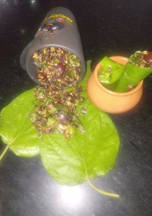 પાન મુખવાસ (Paan Mukhwas Recipe In Gujarati) રેસીપી મુખ્ય ફોટો
