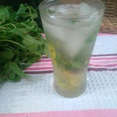 A picture of Virgin Mojito Mocktail.