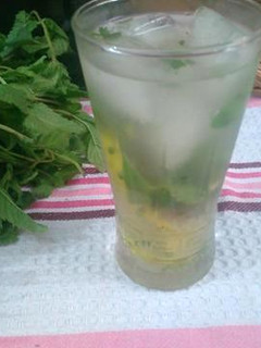 A picture of Virgin Mojito Mocktail.
