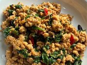 Gambar ayam daun basil