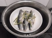 Hình ảnh của cá ngân hấp