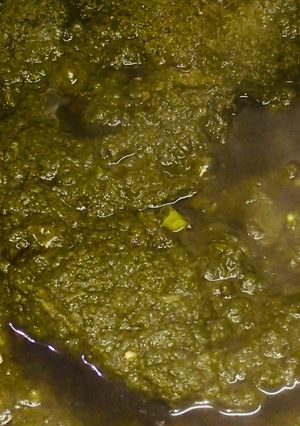 A picture of Palak gosht.