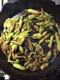 Fried Shishito Peppers