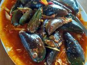 Gambar paprika hijau