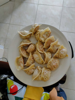 Foto resep Dumpling/Gyoza/Mandu