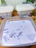 Ube Sago