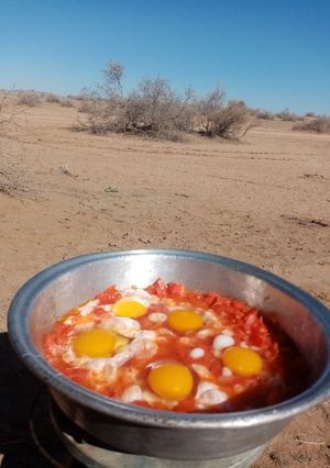 عکسی از دستور املت
