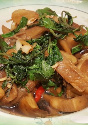 素炒三杯菇 的食譜成品照片
