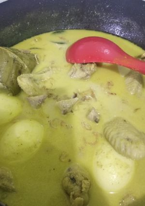 Foto resep 41. Opor ayam