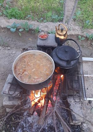 عکسی از دستور آش ترش