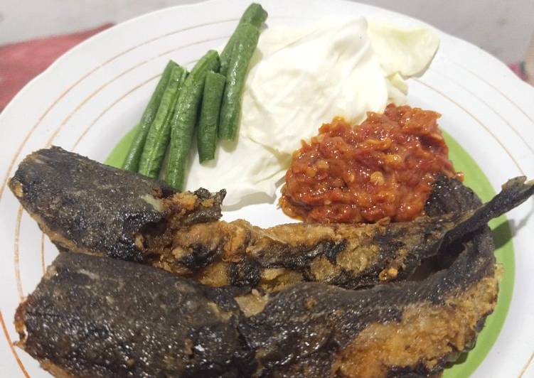 Resep Lele Penyet Sambal Tomat yang Menggugah Selera