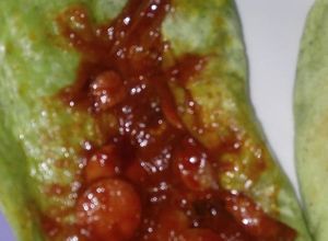 Una foto de Salchichas enchipotladas
