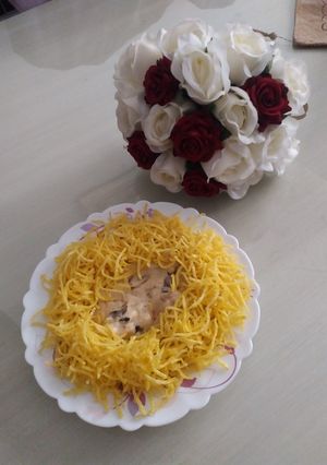 عکسی از دستور چیکن استراگانف