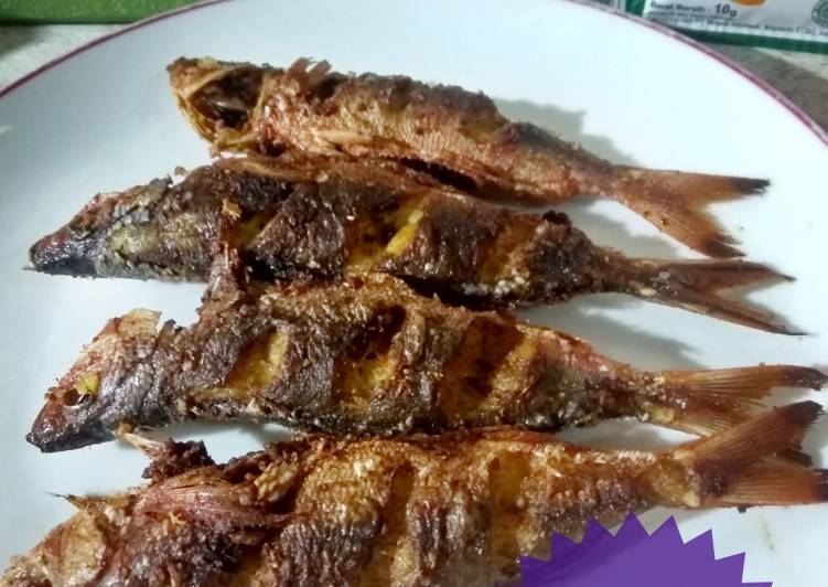 Resep 205. Ikan Biji Nangka Goreng yang sempurna