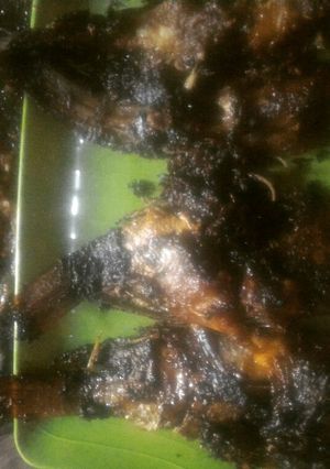 Foto resep Lele Mujaer bakar teflon sambel bawang