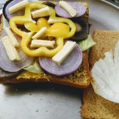 A picture of Healthy Sandwich.