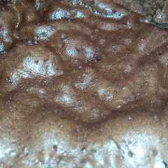 Brownies kukus serba 4 রেসিপির প্রধান ছবি