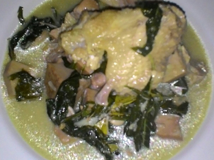 Anti Ribet, Bikin sayur nangka daun singkong  (jangan ndeso) Farah Quinn