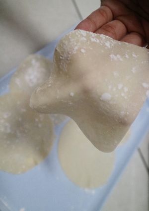 Foto resep 25. Dumpling Wrappers