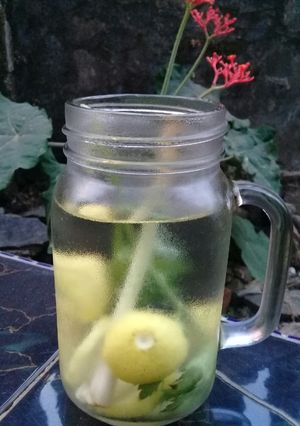 Foto resep Infuse water