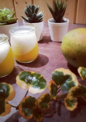 Una foto de Vasitos de yogur con mango