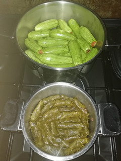A picture of Stuffed Zucchini and Grape Leaves.