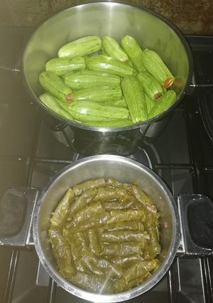 A picture of Stuffed Zucchini and Grape Leaves.