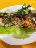 Baked Bluefish with Rosemary, Garlic, and Extra Virgin Olive Oil